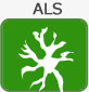 筋委縮性側索硬化症（ALS）