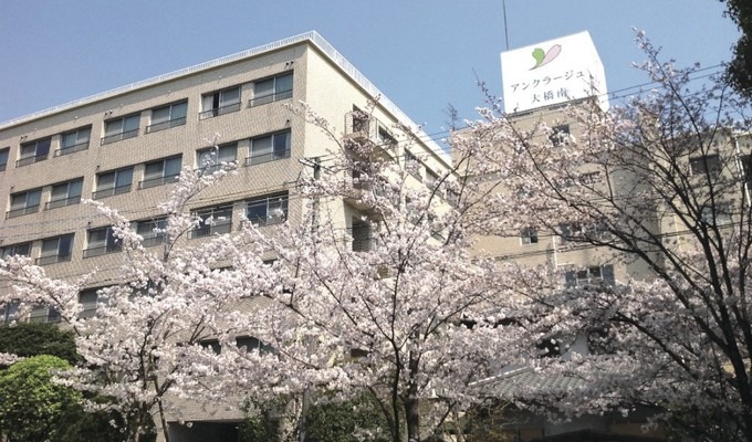 目の前には公園があり、春には桜が満開に咲き誇ります。