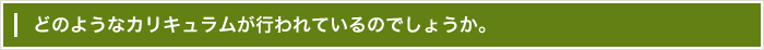 どのようなカリキュラムが行われているのでしょうか。