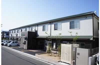 サンプル