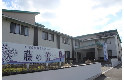 サンプル