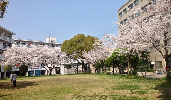 ４月にはみなさんでお花見を楽しんでいます。